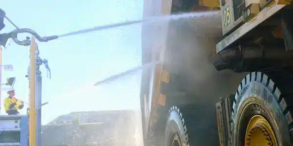 Washdown