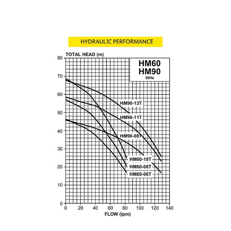 Davey HM60-10T Torrium2 Pressure Pump