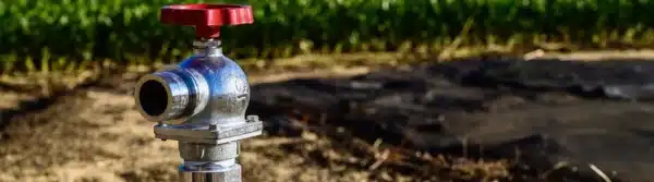 Bore Pumps Applications