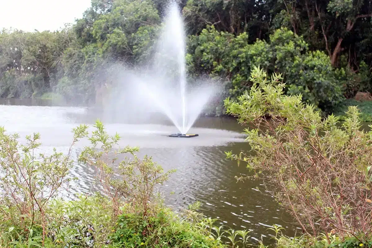 Aeration Systems for Algae Control