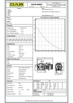 DAB 132MP Self Priming Spear Point Jet Pump with Pressure Switch Data Sheet