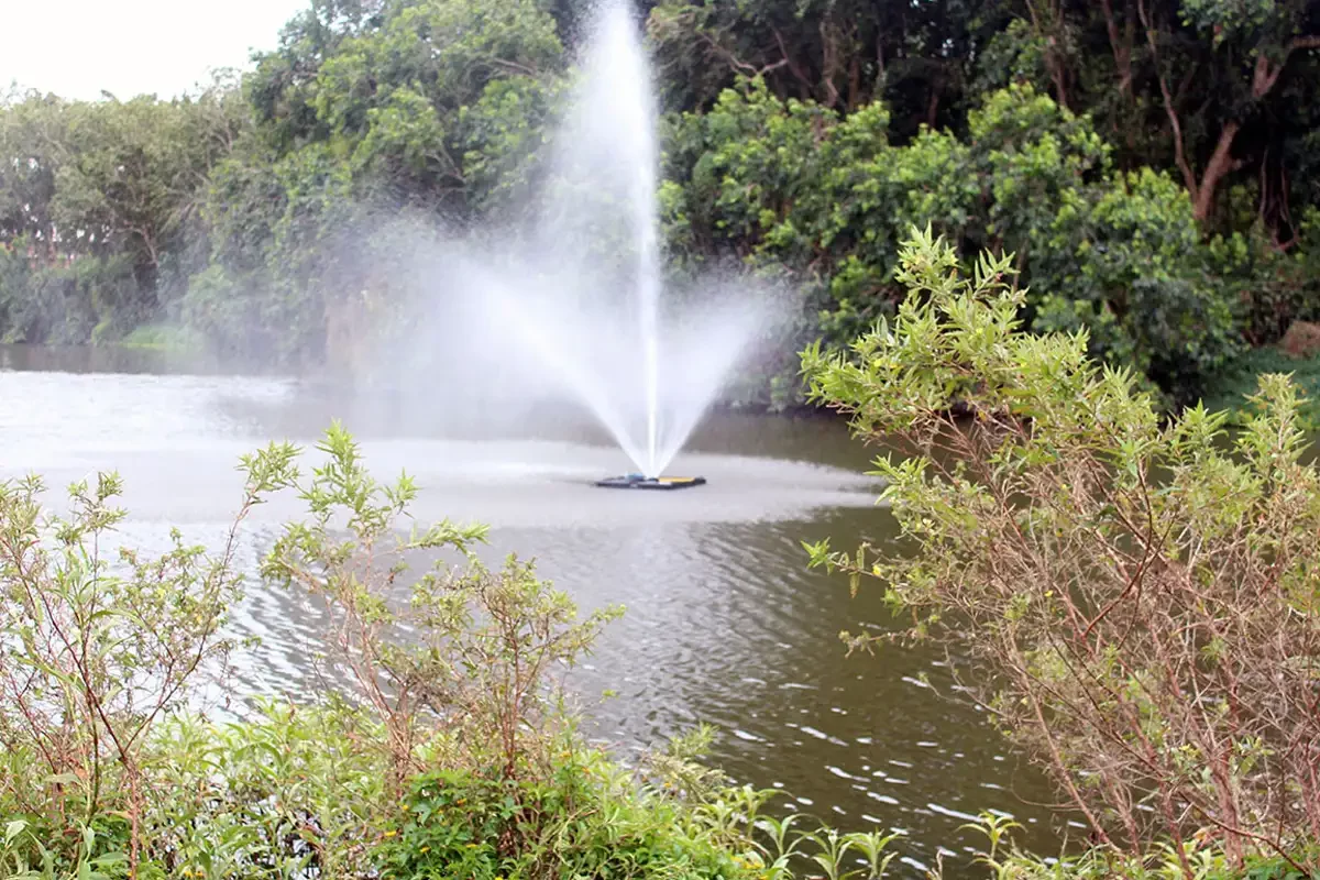 Fountains and Water Features