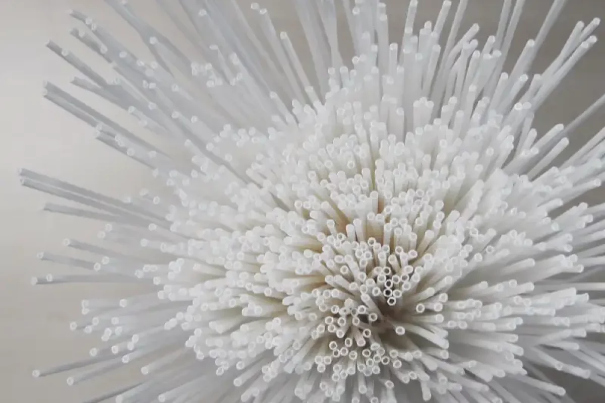 Purion Hollow Fibre Membranes