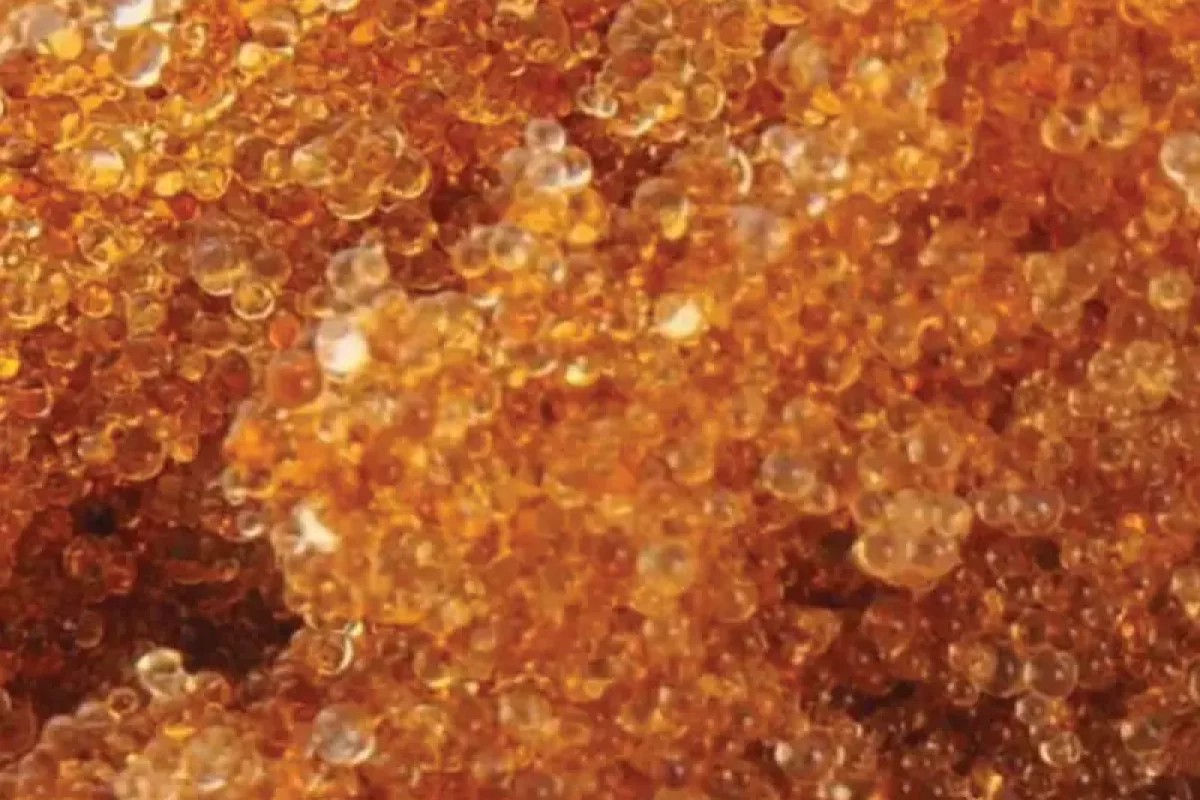 Purion Resin Bead Media