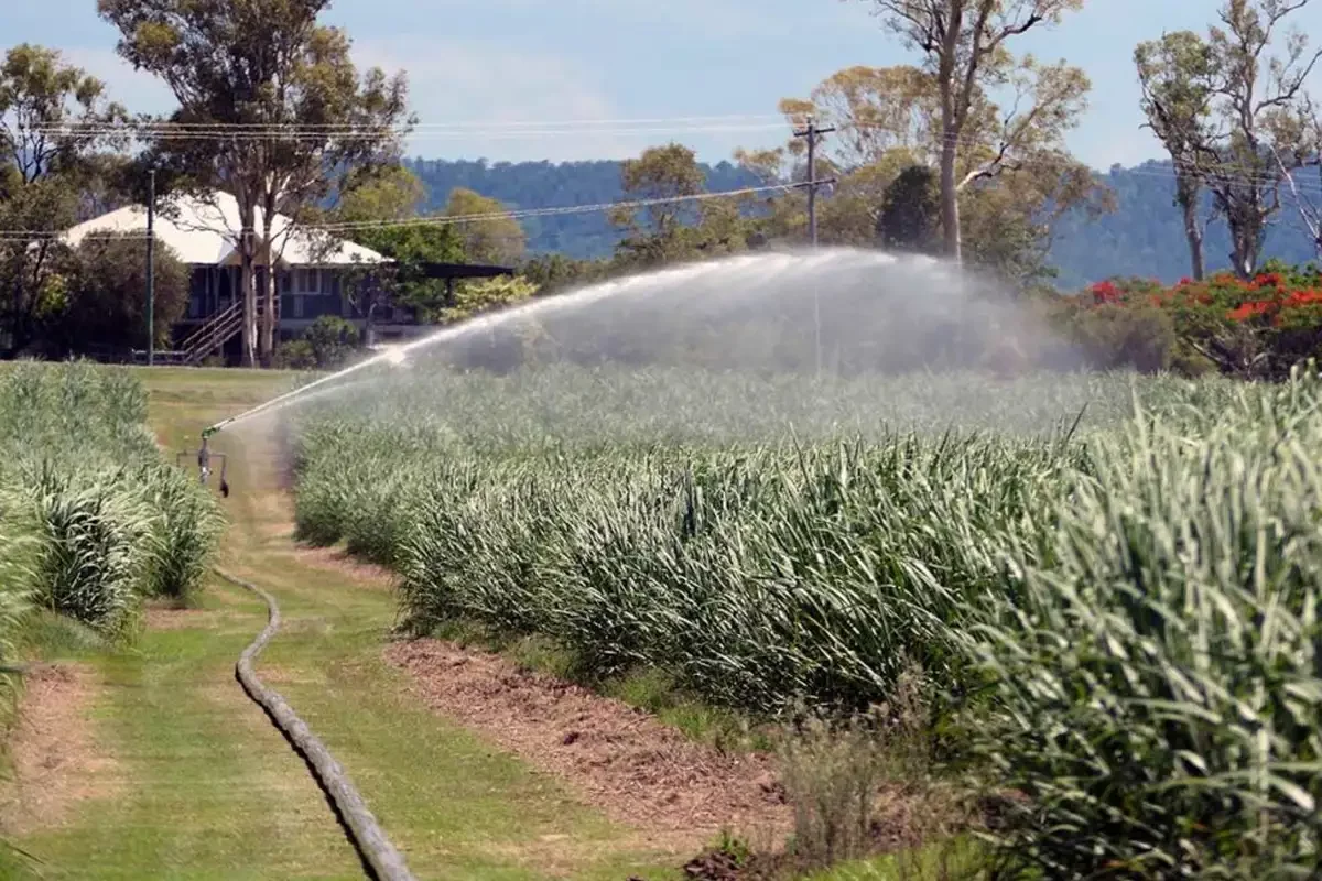 Marani Hard Hose Irrigator