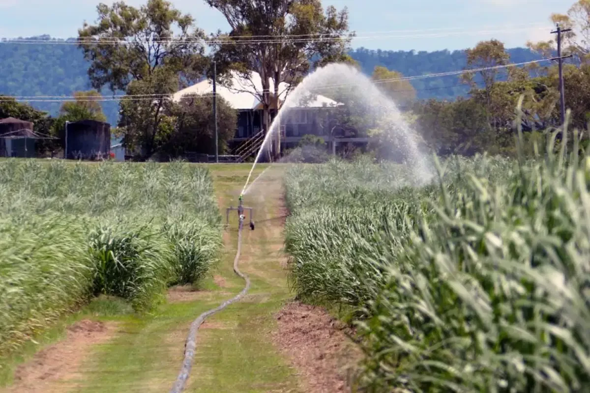 Marani Hard Hose Irrigator