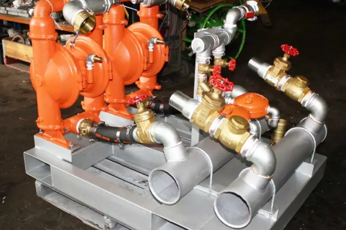 Wilden AODD Dual Pump Skid